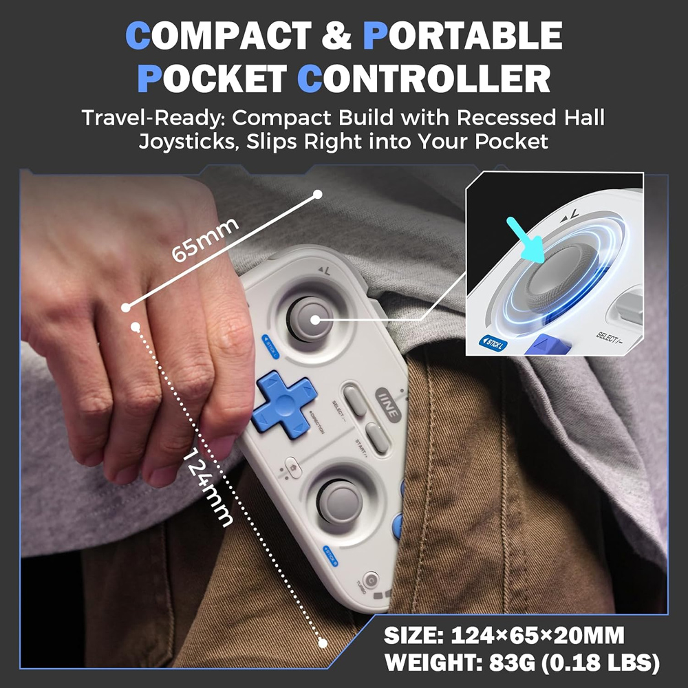 IINE Mini Controller Retro Poc - Retro Gaming La 评论和价格
