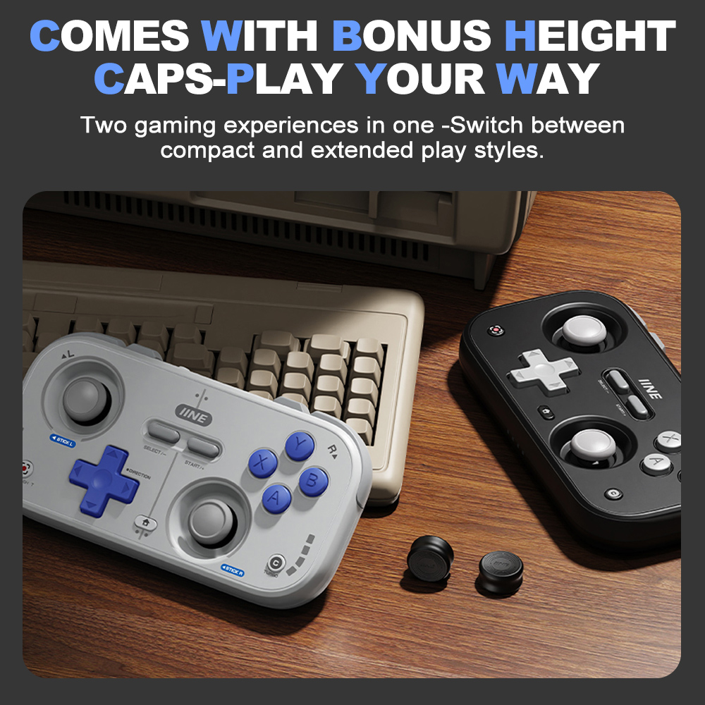IINE Retro Pocket Gamepad Mini - Retro Gaming Realm 评论和价格
